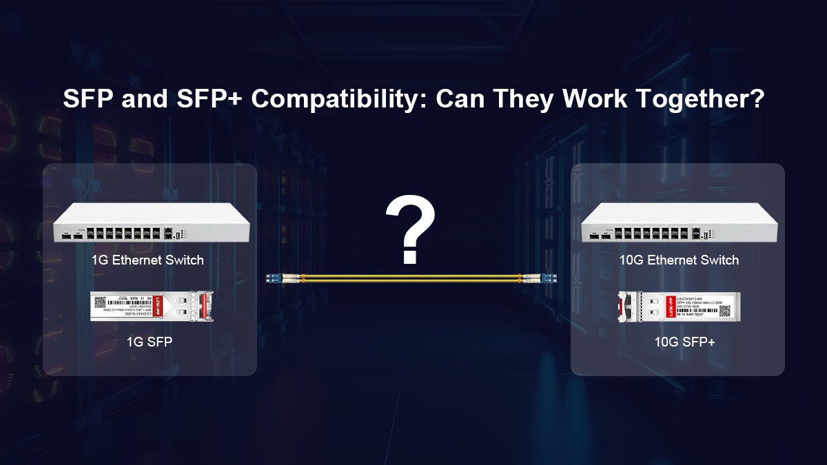 SFP and SFP+ Compatibility