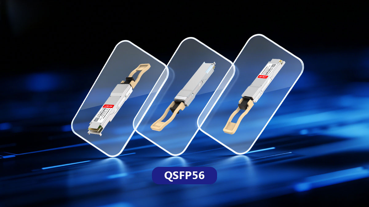 What Is QSFP56 Module?