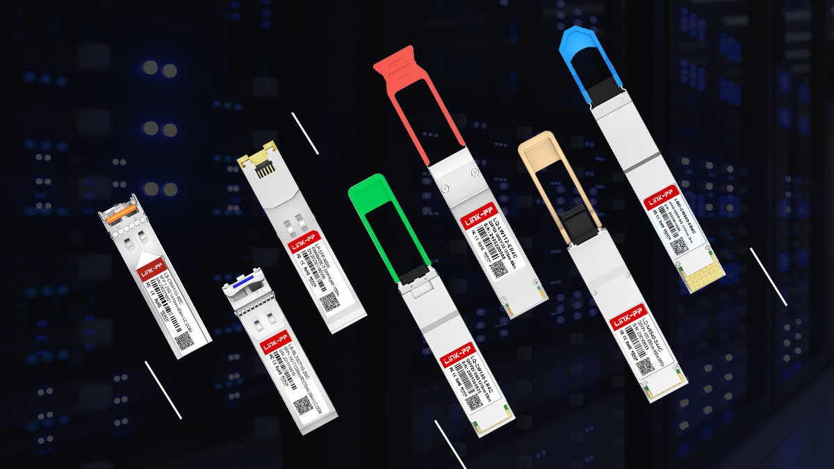 LINK-PP QSFP28 & QSFP56 Transceivers
